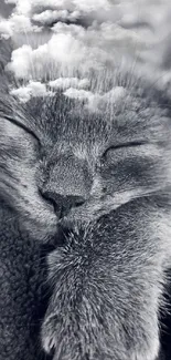 Black and white sleeping cat with clouds.