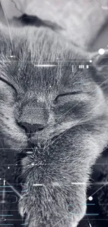 Sleeping cat in cyber aesthetic with digital elements, gray tones.