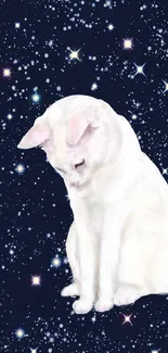 White cat sits in a starry galaxy backdrop.