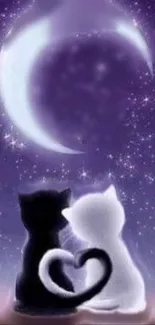 Two cats under a crescent moon with starry sky wallpaper.