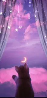 Cat gazing at dreamy purple sky with clouds and stars from a window.