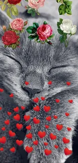 Gray cat with roses and heart accents, creating a dreamy phone wallpaper.