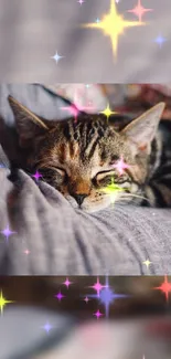 Cute cat sleeping with colorful starry effects, creating a dreamy background.