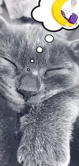 Sleepy cat dreaming with a moon in a thought bubble.