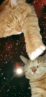 Two ginger cats dreamily floating through a starry galaxy in space.