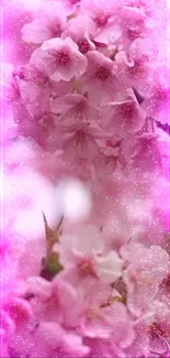 Mobile wallpaper featuring pink cherry blossoms and sparkling bokeh effect.