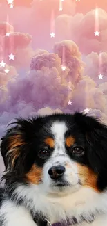 Cute dog with pastel clouds background.