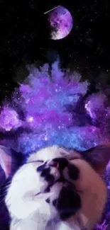 Dreamy cosmic cat with a purple space background.