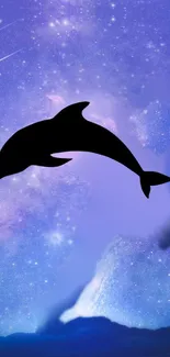 Dolphin silhouette against a starry cosmic purple background.