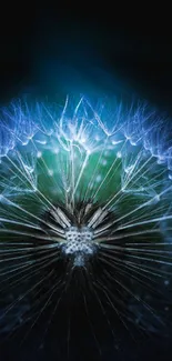 A dreamy blue dandelion glowing against a dark background.