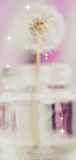 Dandelion in a glass jar with a soft pink background.