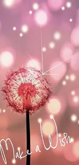 Dreamy pink dandelion with glowing bokeh.