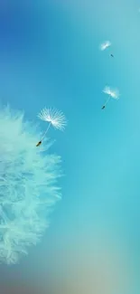 Serene dandelion seeds floating on a soft sky blue background.