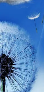 Dandelion against a vibrant blue sky with wispy clouds.