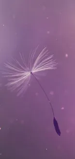 Delicate dandelion seed on a dreamy purple gradient background mobile wallpaper.