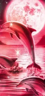 Dolphins leap under a full pink moonlit sky with reflective ocean waters.