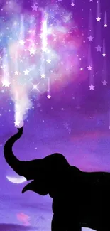 Silhouette of an elephant under a purple galaxy sky with stars.