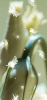 Soft green wallpaper with white feathers and sparkles.