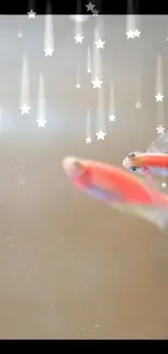 Blurry fish swim with star effects on a tranquil beige background.