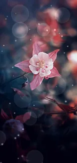 Dreamy pink flower with soft focus and dark background.