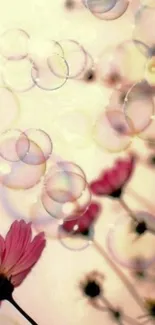 Dreamy floral wallpaper with bubbles and soft pink tones.