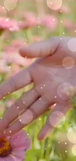 Hand touching pink flowers with magical bokeh effect.