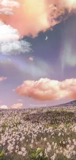 Dreamy floral field under sunset sky with aurora lights.