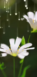 White flowers and stars on dark green background.