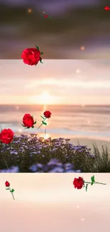 Floating red roses against ocean sunset