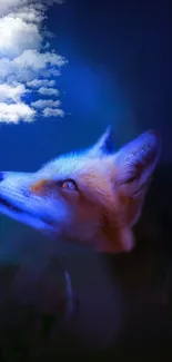 A fox gazes skyward under fluffy clouds, set in a blue-dominant palette.