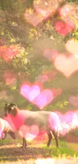 Sheep in forest with pink heart bokeh effect.