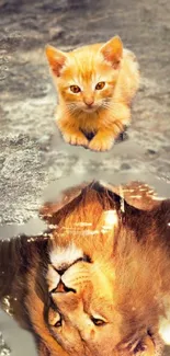 Kitten with a lion reflection in water, symbolizing dreams.