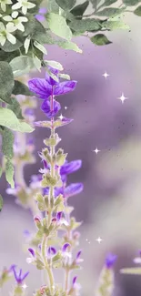 Lavender floral wallpaper with delicate blooms.