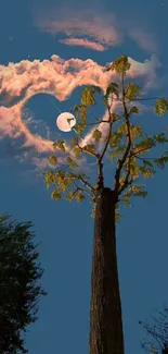 Silhouetted tree under a full moon with colorful clouds at night.