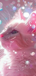 Fluffy pink cat surrounded by dreamy bokeh lights.