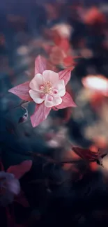 Dreamy pink flower with a soft, ethereal background.