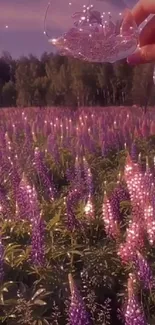 Purple flower field at twilight with a glass in hand.