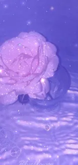 Aesthetic purple rose with glowing stars on serene water background.