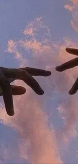 Hands reaching out against a sunset sky.