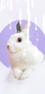 White rabbit surrounded by starry elements in a whimsical, purple design. Mobile wallpaper.