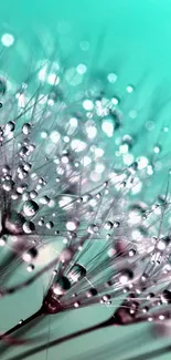 Close-up of a teal dandelion with delicate dew drops on petals.