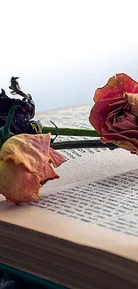 Vintage wallpaper of dried roses on an open book with soft colors.