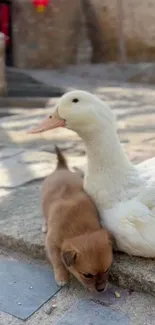 Duck resting beside a puppy on stone steps.