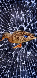 Duck on shattered glass background, abstract art.