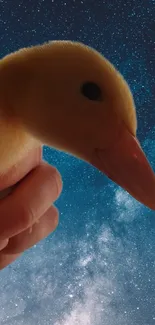 Adorable duckling against a night sky filled with stars.