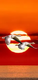 Ducks flying across a fiery orange sunset with a serene ocean horizon.