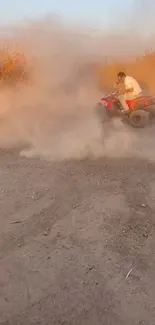 Exciting ATV ride in a dusty outdoor adventure landscape.