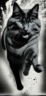 Dynamic black and white illustration of a cat in motion against splash background.