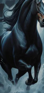 Dynamic black horse in motion with a dark blue background.