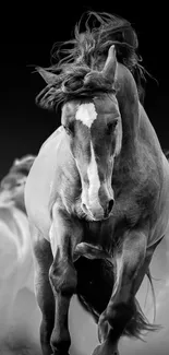 Black stallion running dynamically in a captivating monochrome setting.